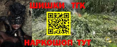 мдпв Бийск