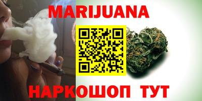 мдпв Бийск