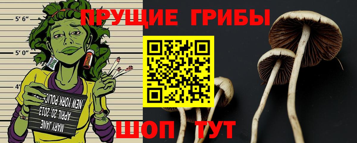 Псилоцибиновые грибы мухоморы Тавда
